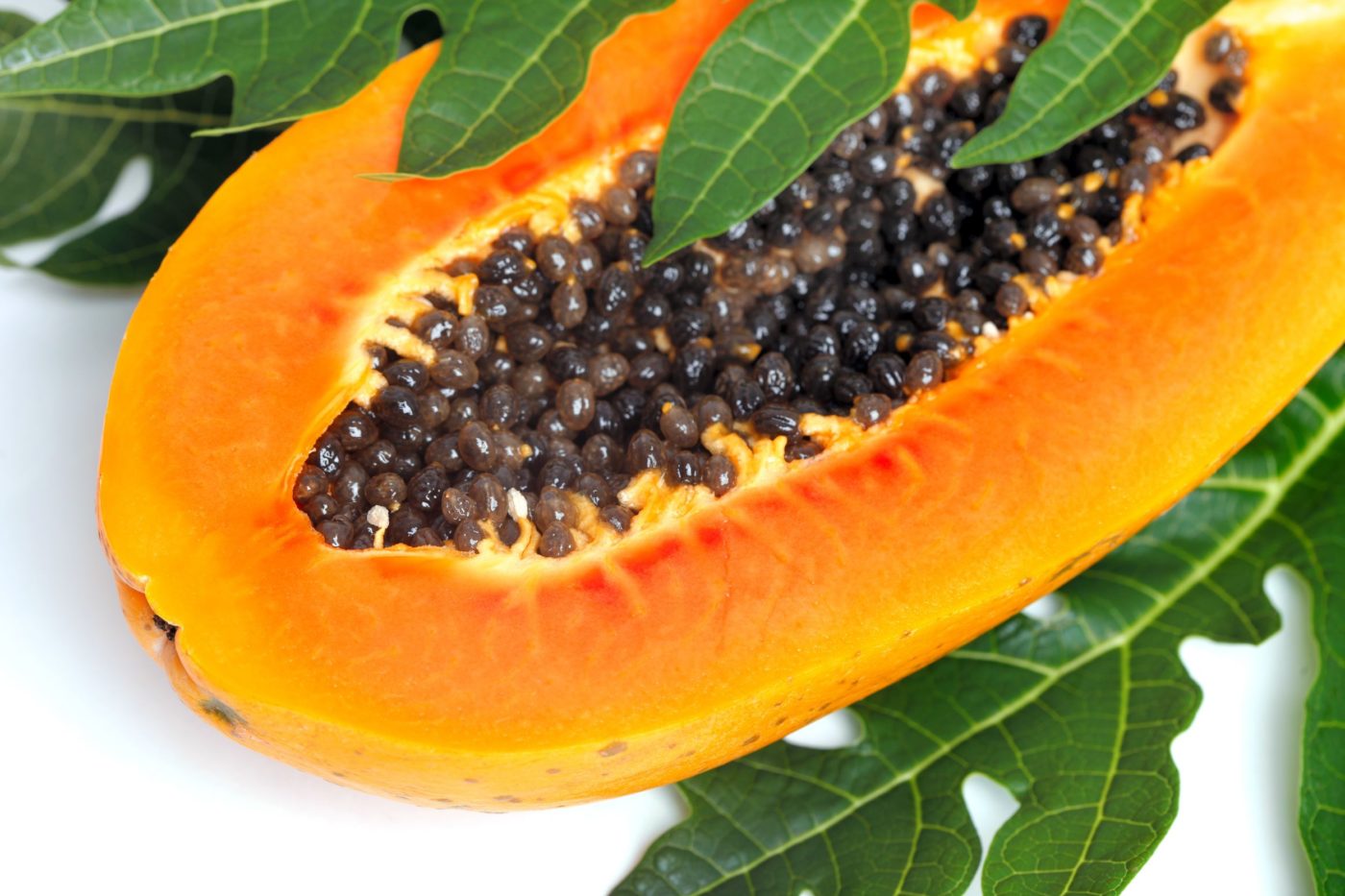 La mejor papaya del mundo se cultiva en Canarias